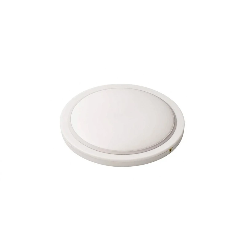 Remote Control Dimmable Ceiling Light factory